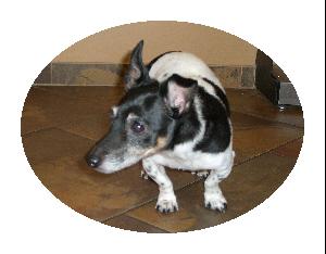 Obie